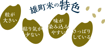 雄町米の特色：粒が大きい、粘り気が少ない、味が染み込みやすい、さっぱりしている